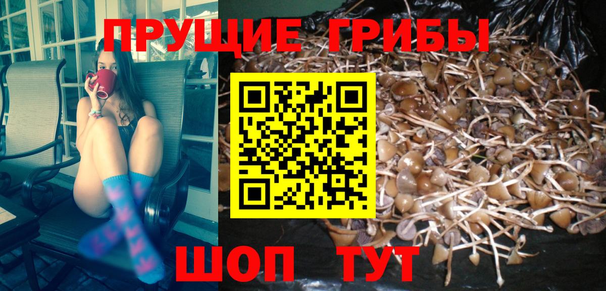 Санкт-Петербург  Галлюциногенные грибы GOLDEN TEACHER  Псилоцибиновые грибы мухоморы  Вход с VPN 