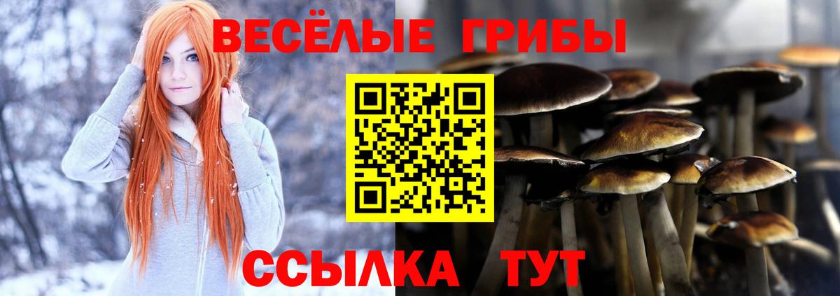 Псилоцибиновые грибы ЛСД Санкт-Петербург